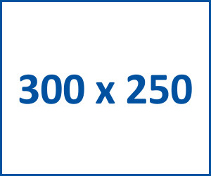 Картинки 300 250